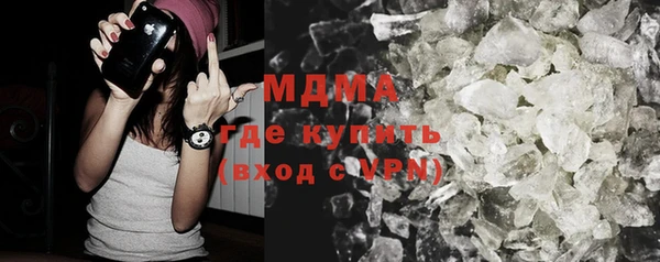 ГАЛЛЮЦИНОГЕННЫЕ ГРИБЫ Дмитриев