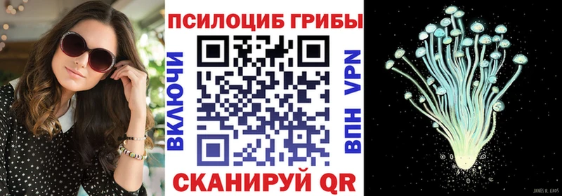 Галлюциногенные грибы Psilocybe  Байкальск 